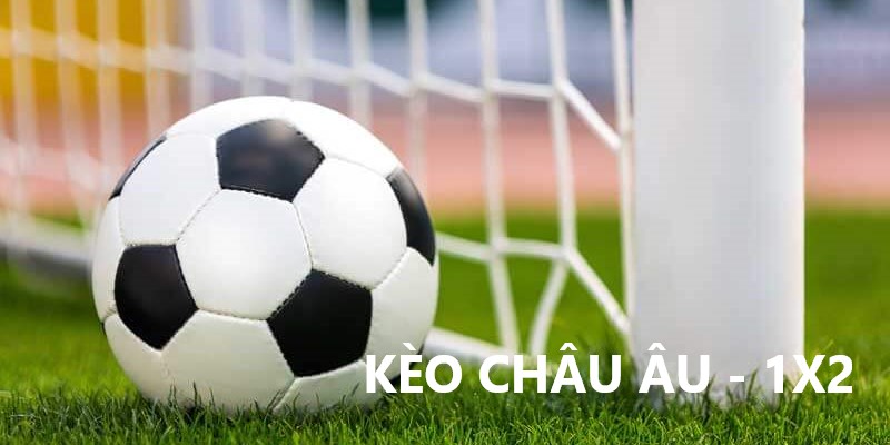 Kèo Châu u 789win - Chiến Lược Cá Cược Thành Công 2024