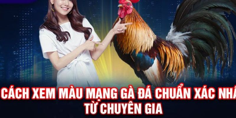 màu mạng đá gà