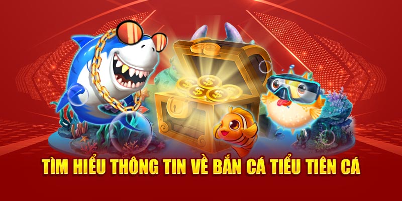 Tìm hiểu thông tin về bắn cá tiểu tiên cá